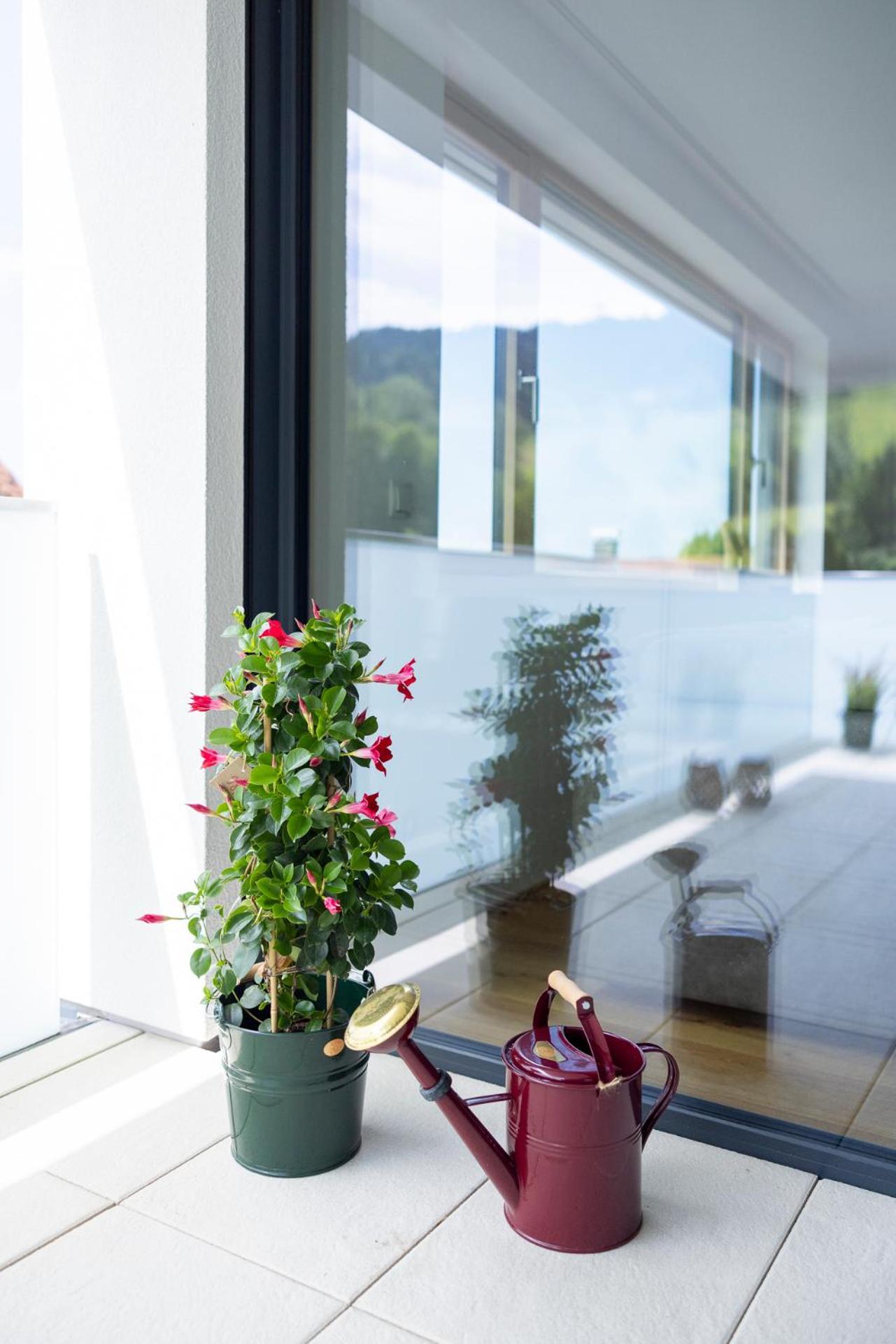 Bodensee Bergblick Suite لوشاو باي بيرغنز المظهر الخارجي الصورة